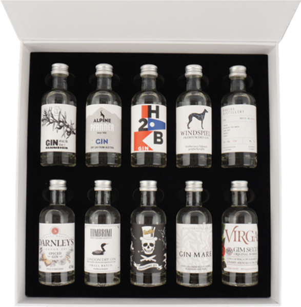 The Gin Box- World Tour Edition #2 10 x 5 cl – Image 2