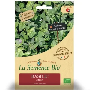 La Semence Bio Basilic Marseillais