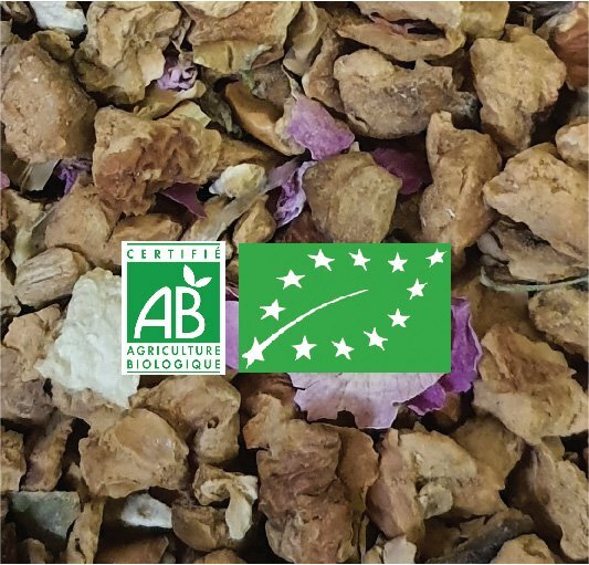 TENDRE GINGEMBRE BIO (Tisane BIO) Sachet 100g