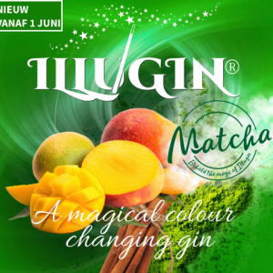 Illugin Matcha