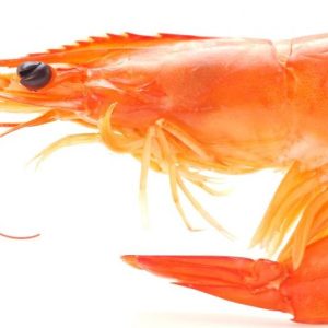 Crevette Rose Entière 500 g