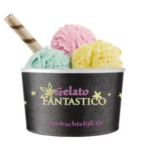 Gelato Ijsbeker (50x240ml)