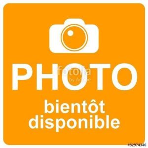 Grille Viande Barbecue Teflonee Lamacom