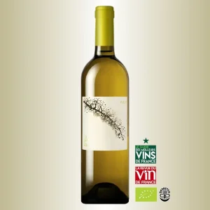 Jonc Blanc Fleur 2022