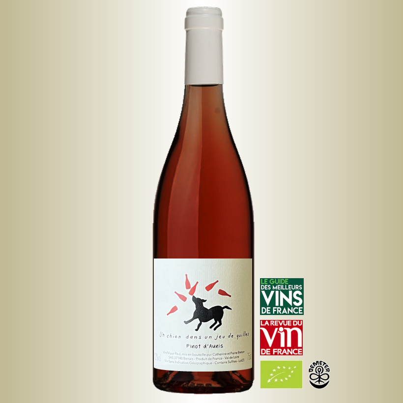 Pierre et Catherine Breton Un chien dans un jeu de quilles 2023