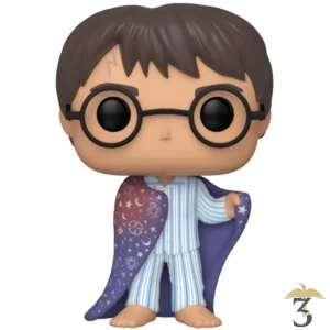 Pop 111 harry potter spécial édition