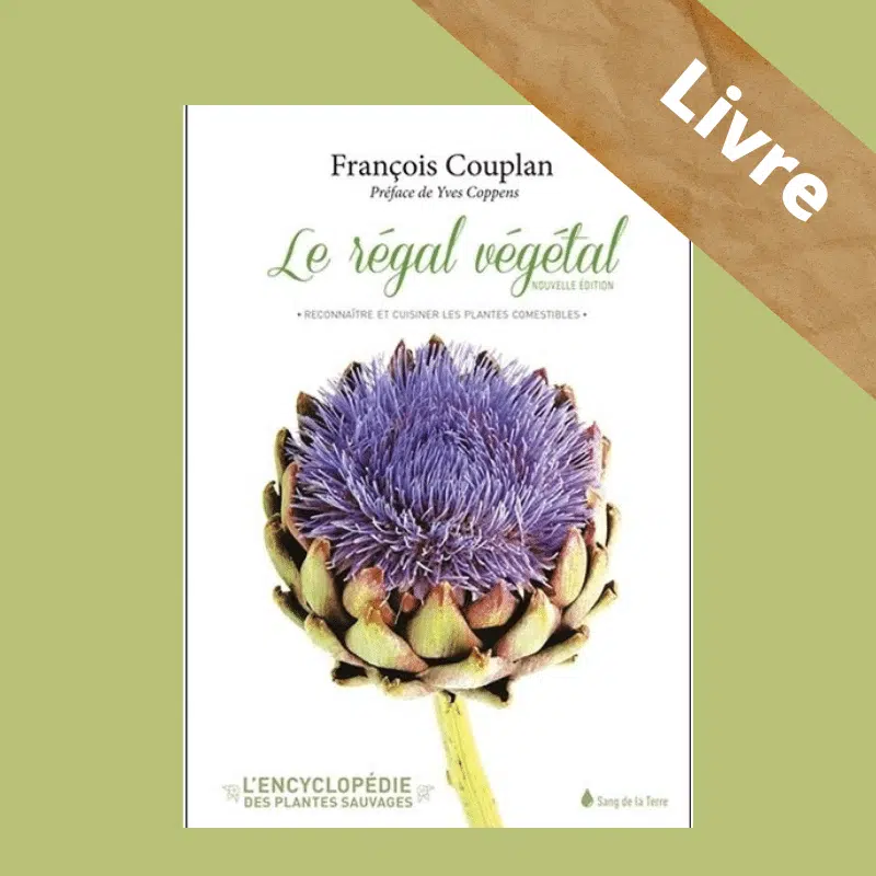 Le régal végétal – Reconnaître et cuisiner les plantes comestibles – F. Couplan – Sang de la Terre – Image 4