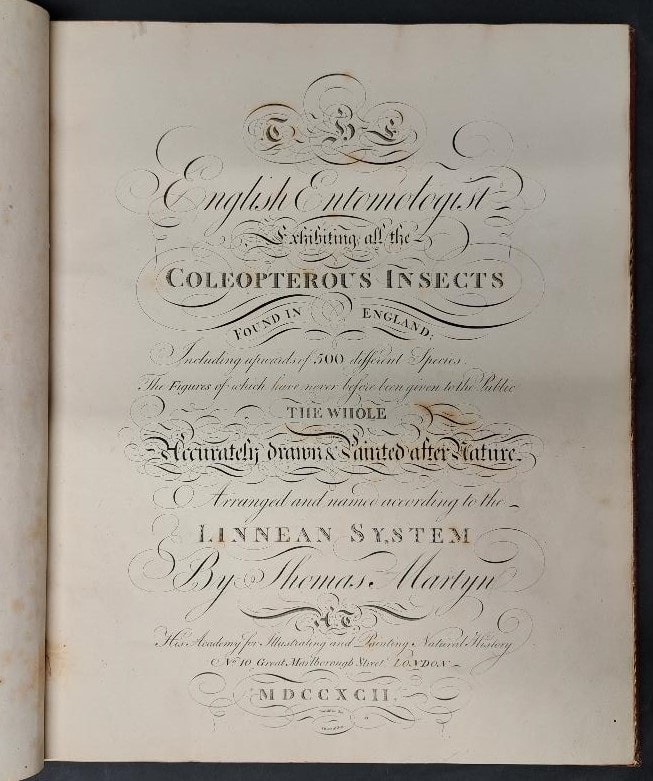 Le insectes anglais de Thomas Martyn, coloriées à la main – Image 2