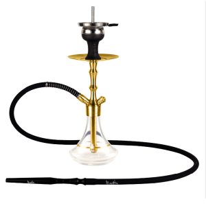 ALADIN MVP 360 GOLD – Clear