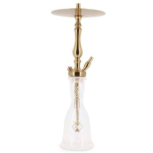 WD Hookah Tradi Gold T1G