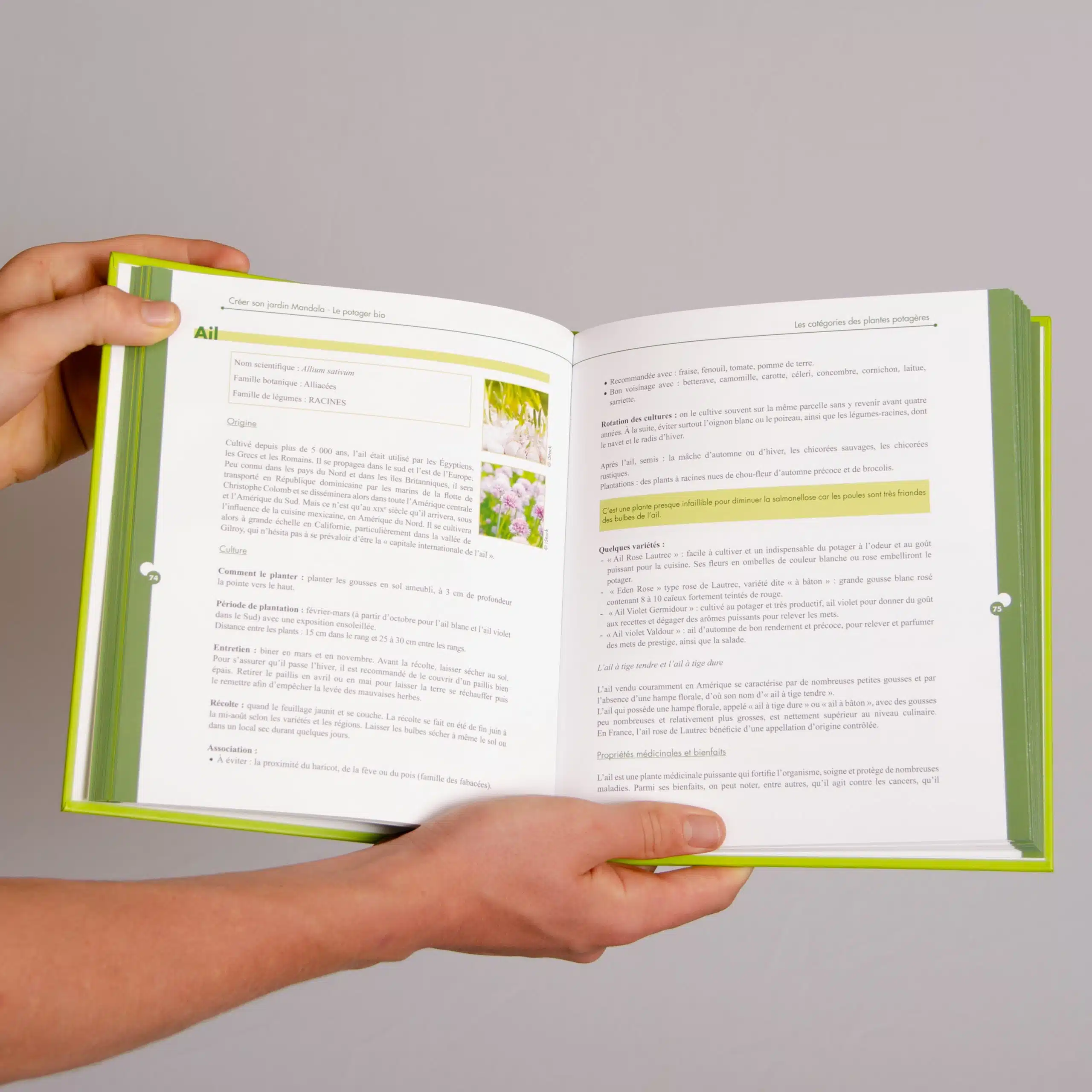 Créer son jardin Mandala – Le potager bio – LIVRE – François Renouf De Boyrie- Dangles – Image 5