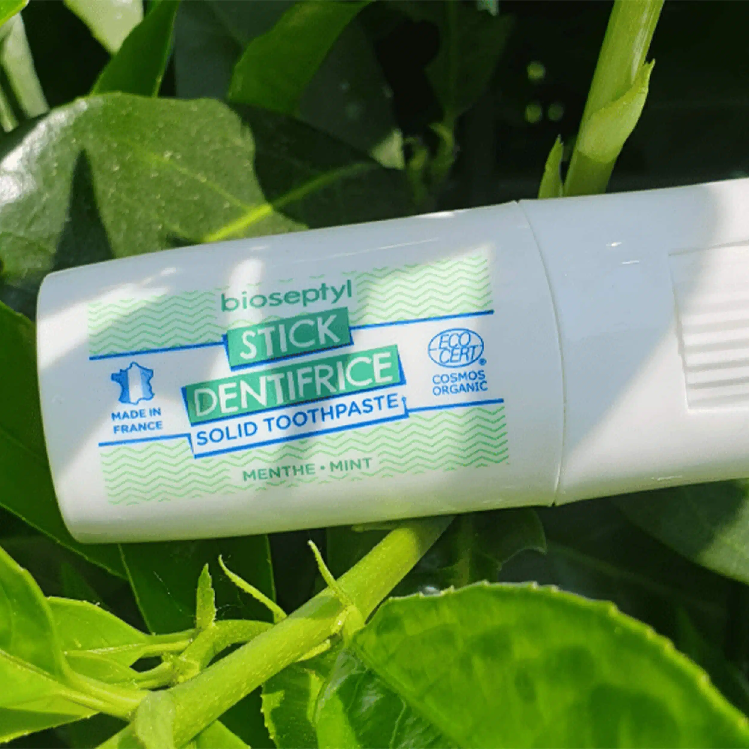 Dentifrice solide en stick rechargeable éco-responsable – Menthe naturelle – Bioseptyl – Image 5