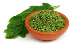 Moringa feuilles