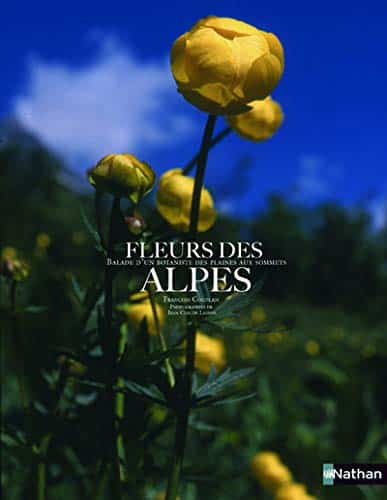 Fleurs des Alpes – Livre – François Couplan – Image 5