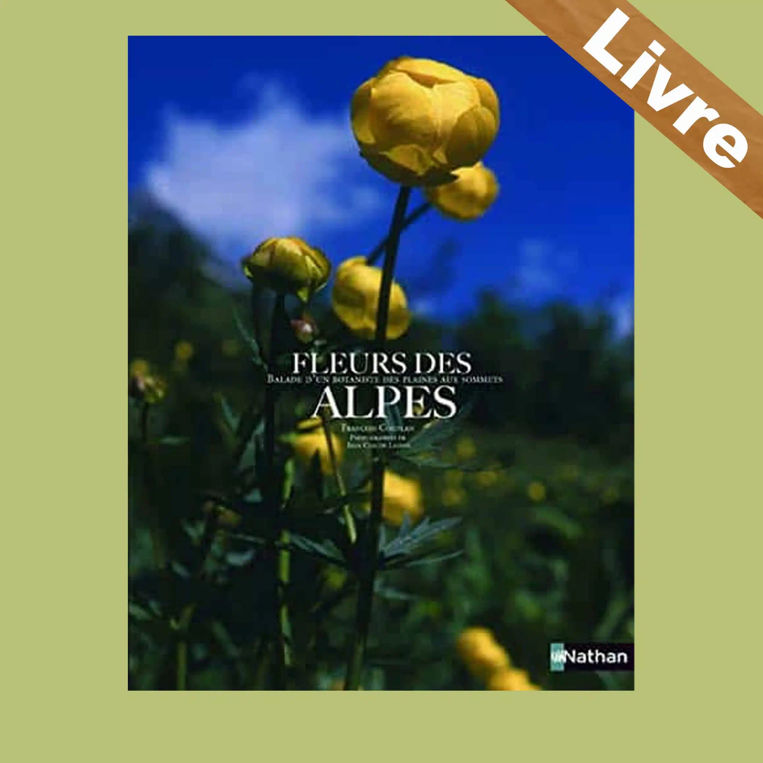 Fleurs des Alpes – Livre – François Couplan – Image 2