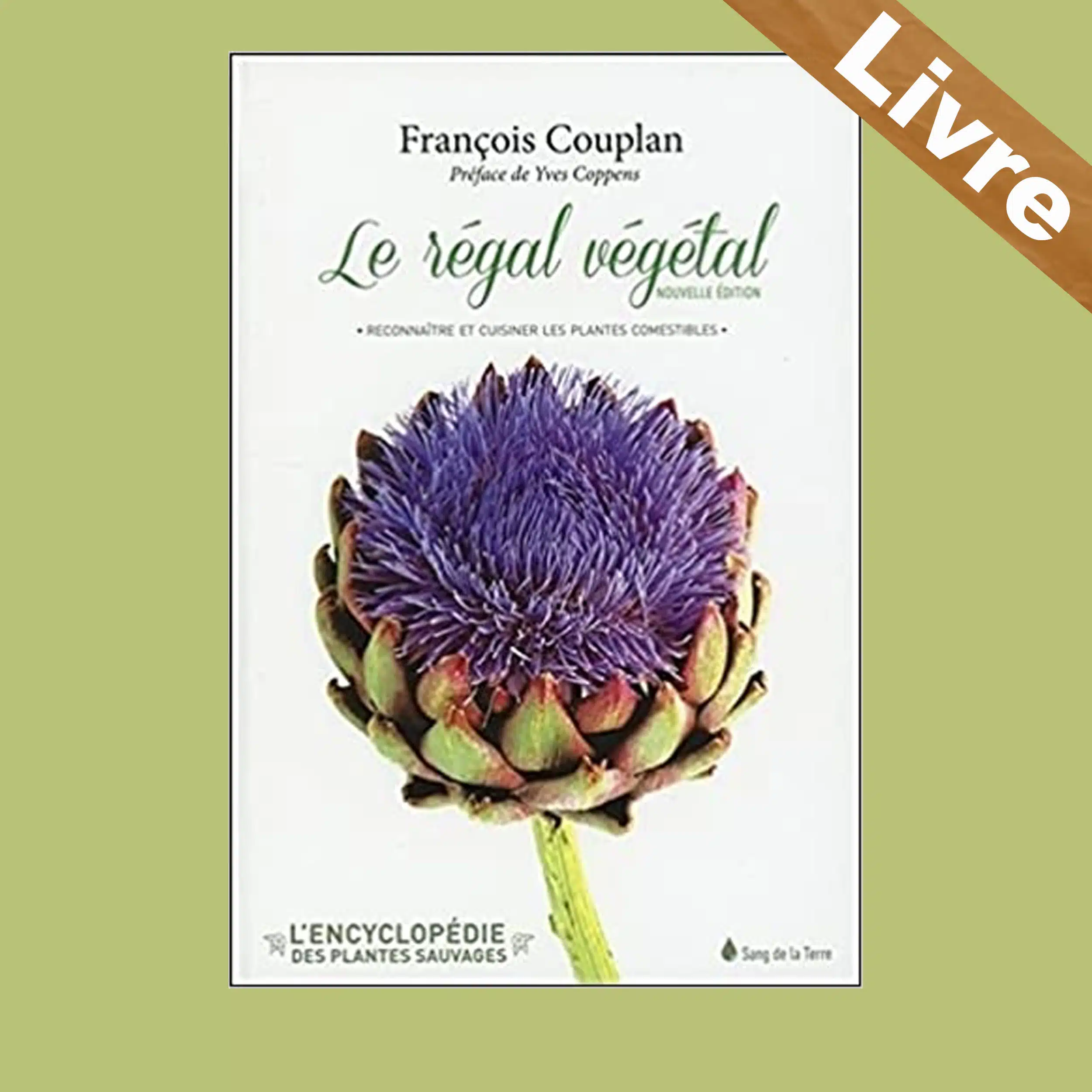 Le régal végétal – Reconnaître et cuisiner les plantes comestibles – F. Couplan – Sang de la Terre – Image 2