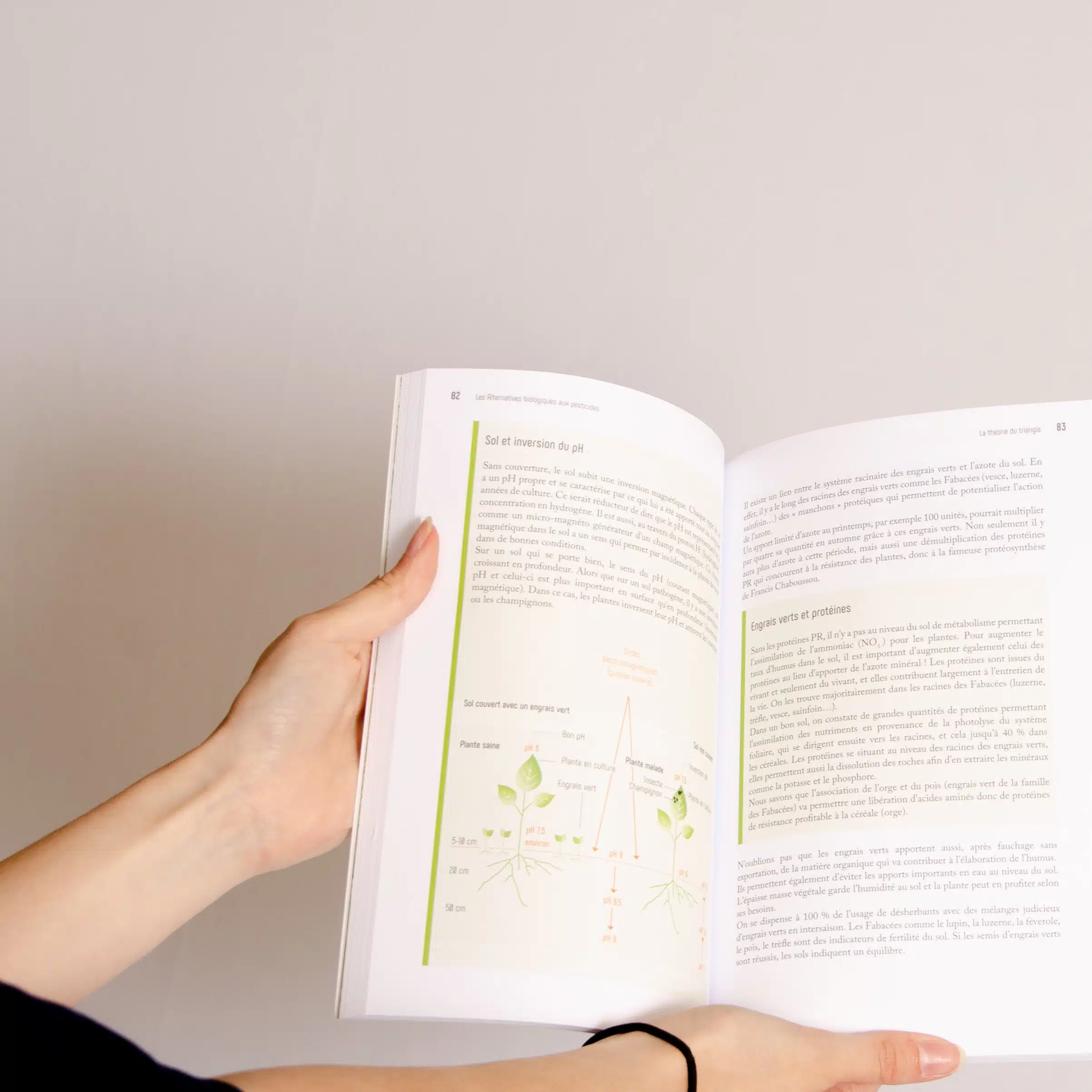 Les Alternatives Biologiques aux pesticides – Solutions naturelles au jardin – Livre – Image 6