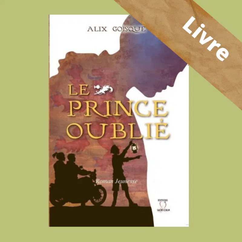 Insurrection pour la couronne – Tome 1 – Le Prince oublié – Alix Goisque – Image 7