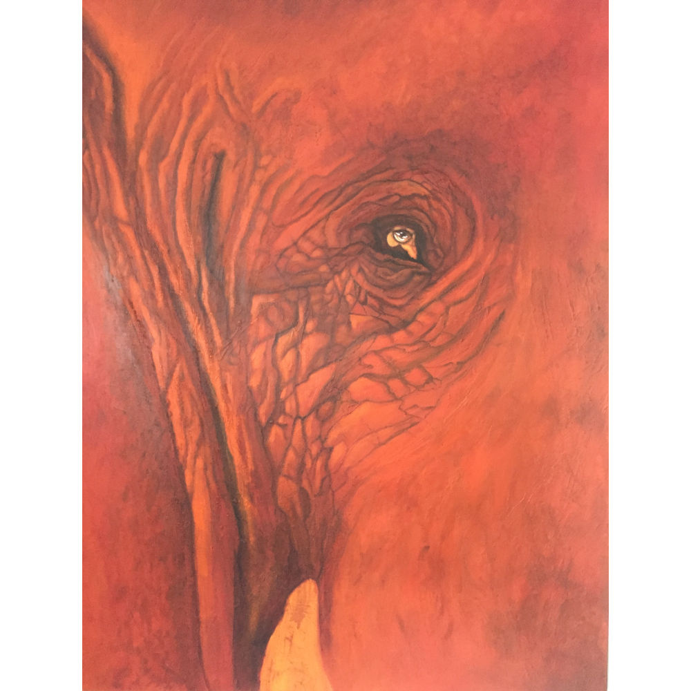 « A: Savane en feu »