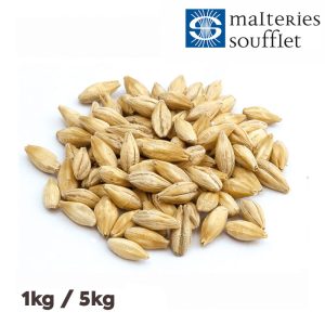Vienne – 10 EBC – Malteries Soufflet